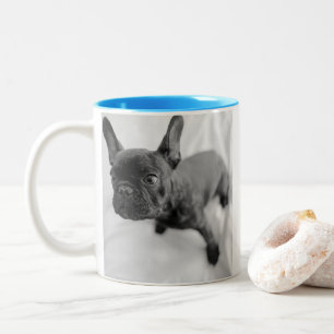 Erstellen Sie Ihr eigenes Haustierfoto   Schwarz u Zweifarbige Tasse