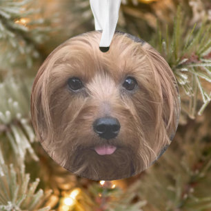 Erstellen Sie Ihr eigenes Hundebüt-Foto für den  Ornament