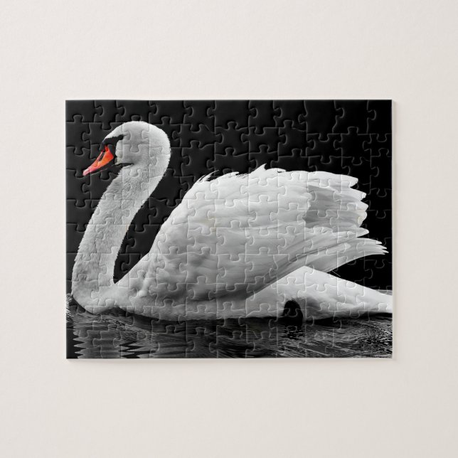 Erstellen Sie Ihr eigenes Weiß-Schwan-Natur-Foto (Horizontal)