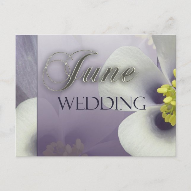 Erstellen Sie Ihre eigene lila Juni-Hochzeit Postkarte (Vorderseite)