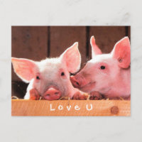 Erstellen Sie Ihre eigene lustige Foto-Liebe, die