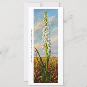 Erstellen Sie Ihre eigene White Hyacinth Field Les