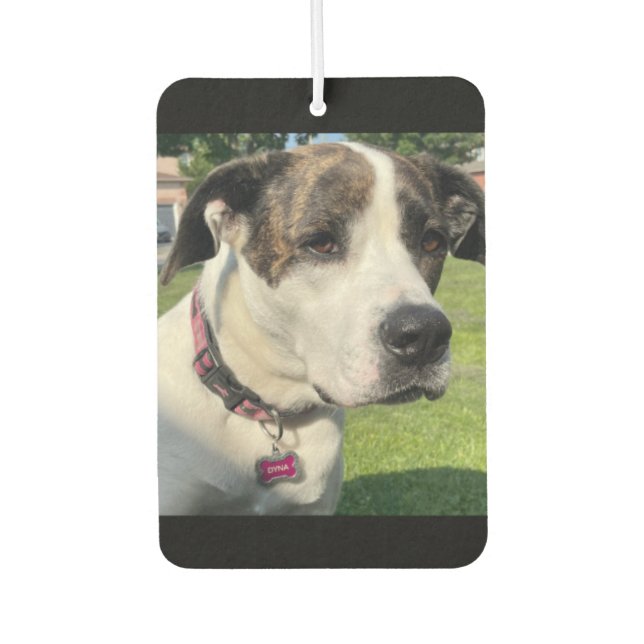 Erstellen Sie Ihre eigenen Autolufterfrischer (Vorderseite)