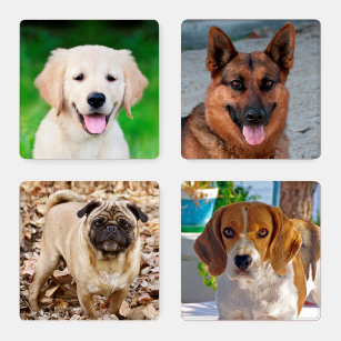 Erstellen Sie Ihre eigenen Fotos für Haustiere Untersetzer Set
