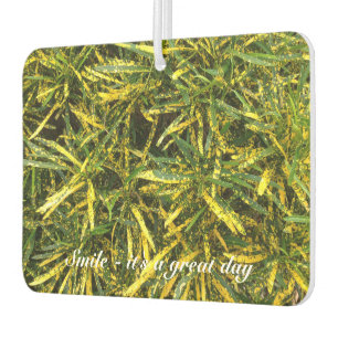 Erstellen Sie Ihre eigenen Lufterfrischer