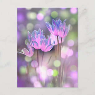 Erstellen Sie Ihre eigenen Personalisierten Bokeh Postkarte
