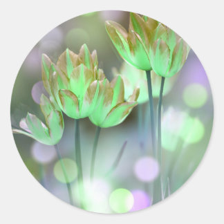 Erstellen Sie Ihre eigenen Personalisierten Bokeh Runder Aufkleber