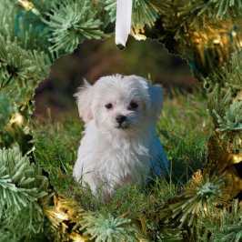 Erstellen Sie Ihre eigenen zweiseitigen Hunde-Foto Ornament Karte