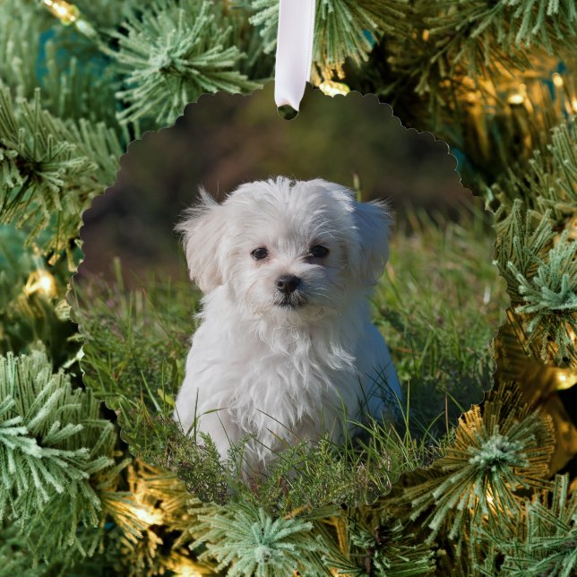 Erstellen Sie Ihre eigenen zweiseitigen Hunde-Foto Ornament Karte (Insitu (Baum))