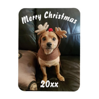 Erstellen Sie Ihren eigenen frohen Weihnachtsmagne Magnet