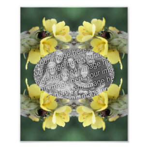 Erstellen Sie Ihren eigenen Käfer-Mullein-Blume-Ra Fotodruck