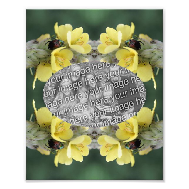 Erstellen Sie Ihren eigenen Käfer-Mullein-Blume-Ra Fotodruck (Vorne)