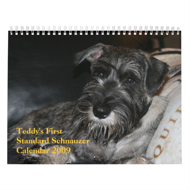 Erster der Standardschnauzer-Kalender 2009 des Kalender (Titelbild)