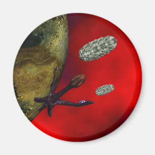 erster Kontakt Magnet