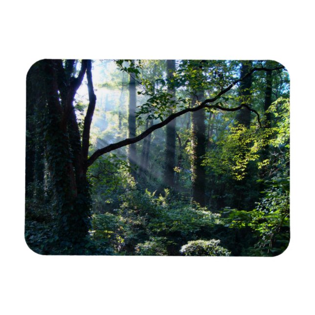 Erster leichter flexibler Magnet (Horizontal)