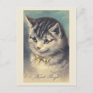 "Erster Preis" Vintage-Katzenporträt-Postkarte Postkarte
