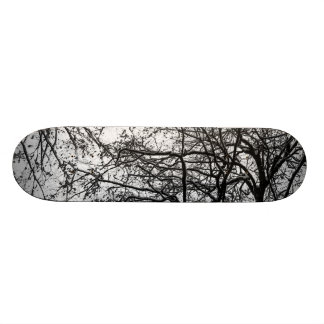 erster Schnee Skateboard