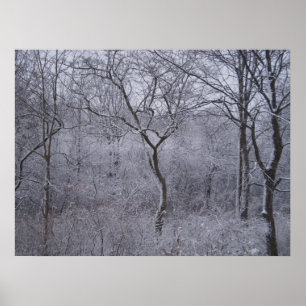 Erster Schneefall im Bundesstaat New York Poster