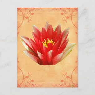 Erstes Chakra-Geschenk Postkarte