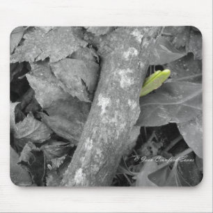 erstes Frühjahrszeichen Mousepad