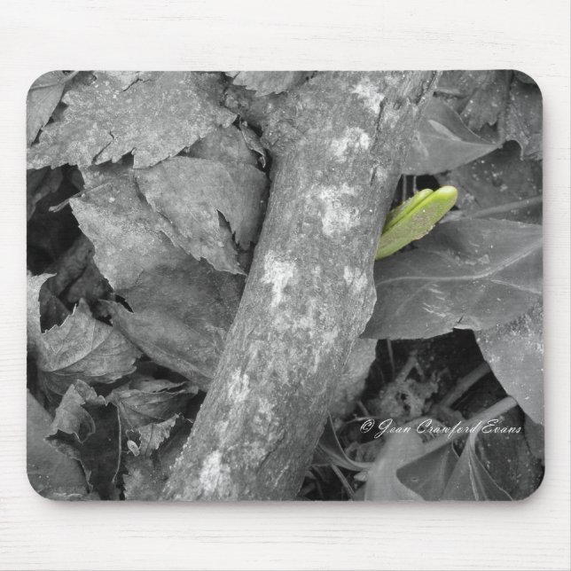 erstes Frühjahrszeichen Mousepad (Vorne)