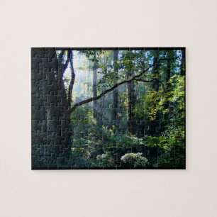 Erstes helles Rätsel