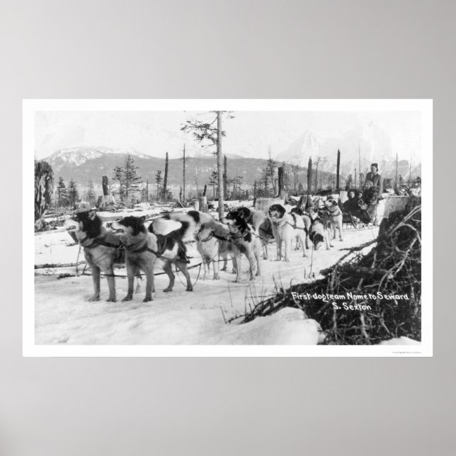 Erstes Hundeteam Alaska 1910 Poster (Vorne)