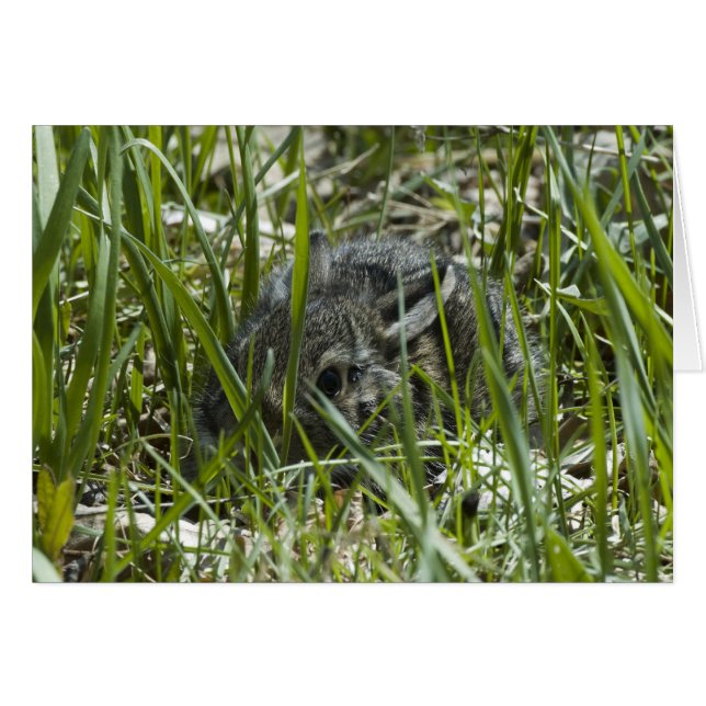 ERSTES MAL (Vorderseite (Horizontal))