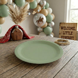 Erstes Rodeo und Babyshower Pappteller