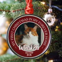Erstes Weihnachten für immer Zuhause Katzenfoto un