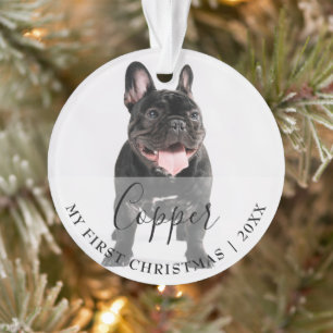Erstes Weihnachten Haustier 2 Foto Schriftzug Orna Ornament