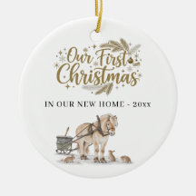Erstes Weihnachten neues Zuhause Winter Pferd