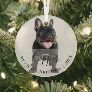 Erstes Weihnachts-Tierfoto-Skript Namensschmuck Ornament Aus Glas