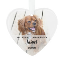 Erstes Weihnachtsfoto vom Hund als Baumschmuck