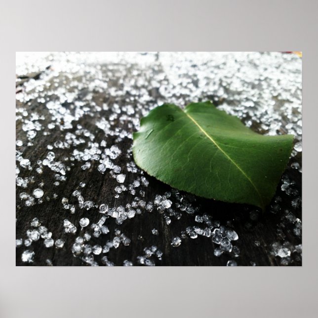 Erstes Winterwetter Poster (Vorne)