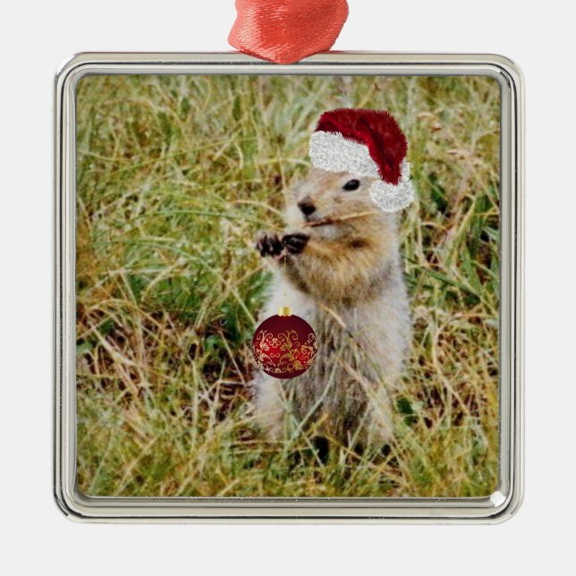 Erstklassige Verzierung mit Präriehund Ornament Aus Metall (Vorne)