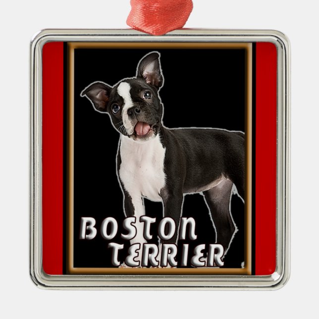ERSTKLASSIGE WEIHNACHTSverzierung BOSTONS TERRIER Silbernes Ornament (Vorne)