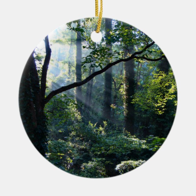 Erstmaliges Ornament (Vorne)