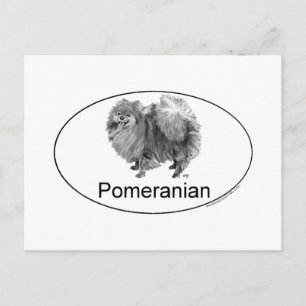 Eruo Pomeranian Hund Postkarte