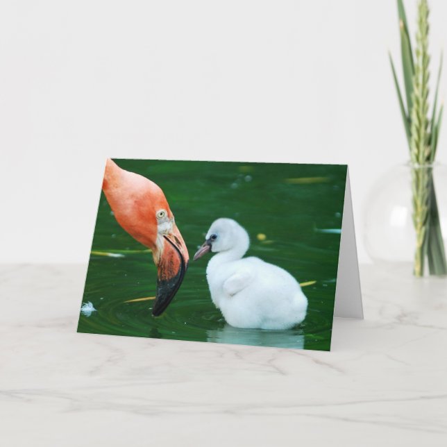 Erwachsene Flamingo-und Küken Gruß-Karte Karte (Vorderseite)