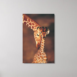 Erwachsene Giraffe mit Kalb (Giraffa Leinwanddruck