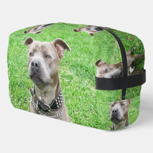Erwachsene Male Staffordshire Bull Terrier Sitting Waschbeutel