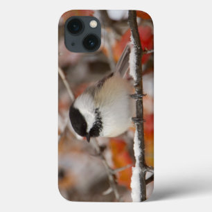 Erwachsene Schwarzkappenmeise im Schnee Case-Mate iPhone Hülle