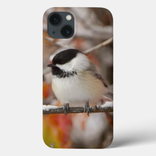 Erwachsene Schwarzkappenmeise im Schnee Case-Mate iPhone Hülle