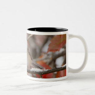 Erwachsene Schwarzkappenmeise im Schnee Zweifarbige Tasse