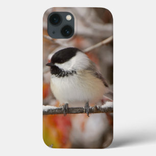 Erwachsene Schwarzkopfmeise im Schnee Case-Mate iPhone Hülle