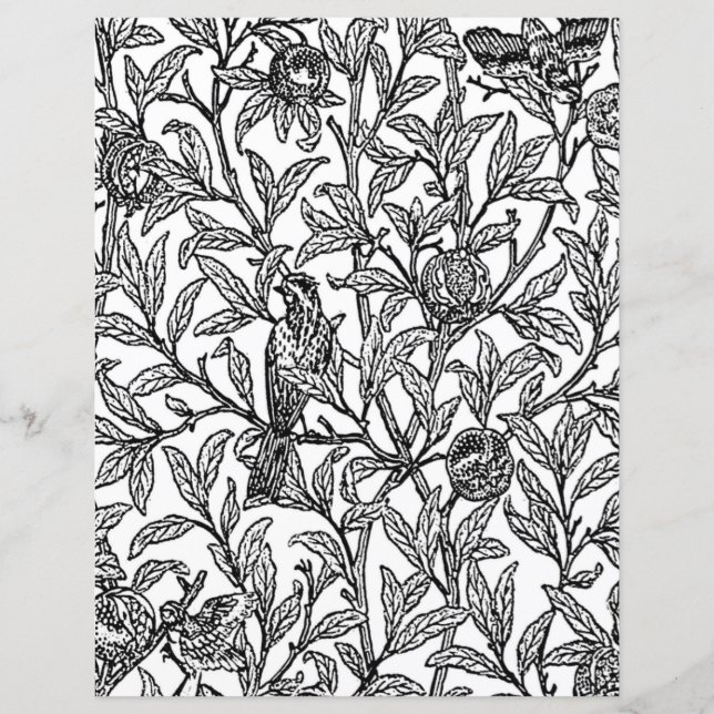 Erwachsenenfarbseite, Morris Bird & Pomegranat (Vorderseite)