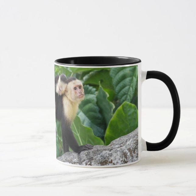 Erwachsener Capuchin-Affe-tragendes Baby auf Tasse (Rechts)