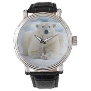 Erwachsener Eisbär auf dem sommerlichen Packeis Armbanduhr