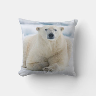 Erwachsener Eisbär auf dem sommerlichen Packeis Kissen